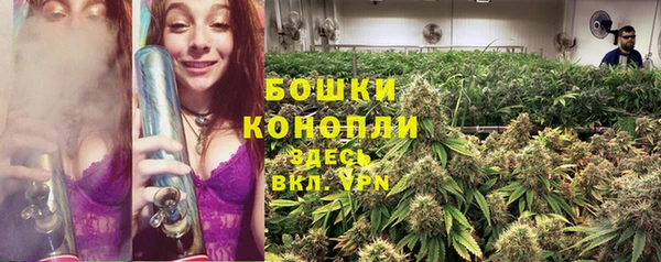 не бодяженный Бородино