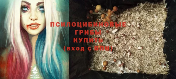 не бодяженный Бородино