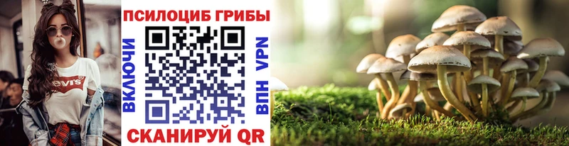 Псилоцибиновые грибы MAGIC MUSHROOMS  купить закладку  Батайск 